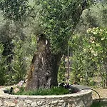 Villa The White Nydri (Lefkada)