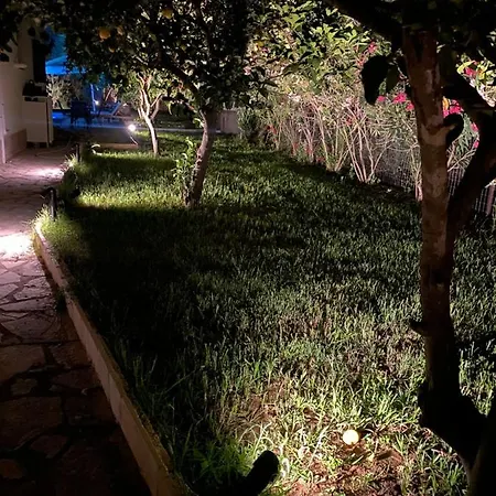 The White Villa *