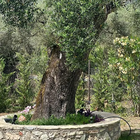 Villa The White Nydri (Lefkada)